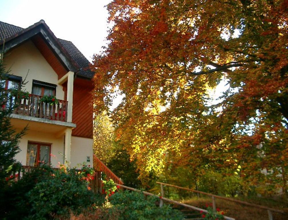 Le Chalet Luttenbach-près-Munster 外观 照片