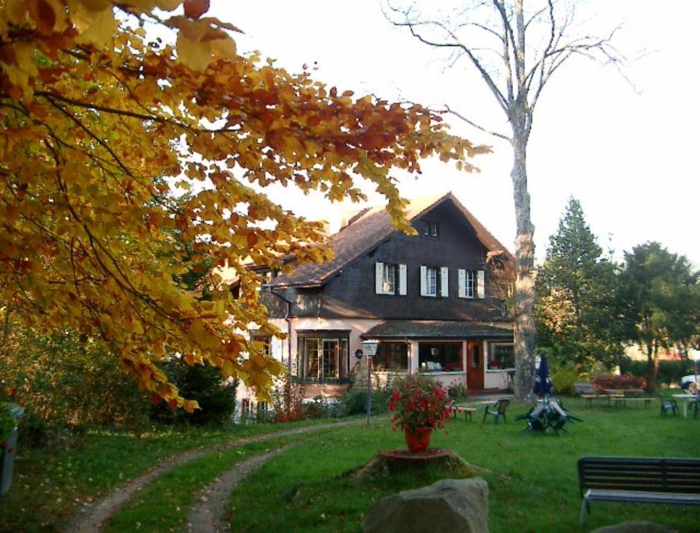 Le Chalet Luttenbach-près-Munster 外观 照片