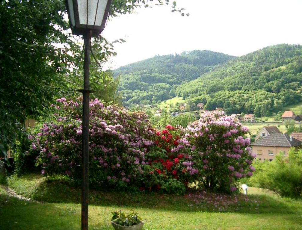 Le Chalet Luttenbach-près-Munster 外观 照片